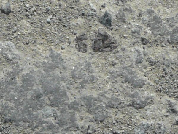 Concrete ground texture in grey tones with small rocks and rough, uneven consistency.
